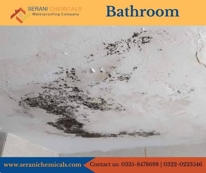 Roof Leakage Bathroom Leakage Roof Heat Proofing Roof waterproofing 6