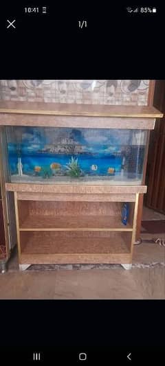 aquarium