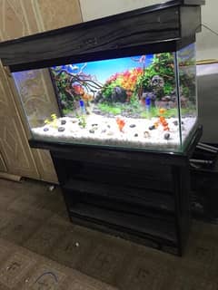 3fit brand new fish aquarium