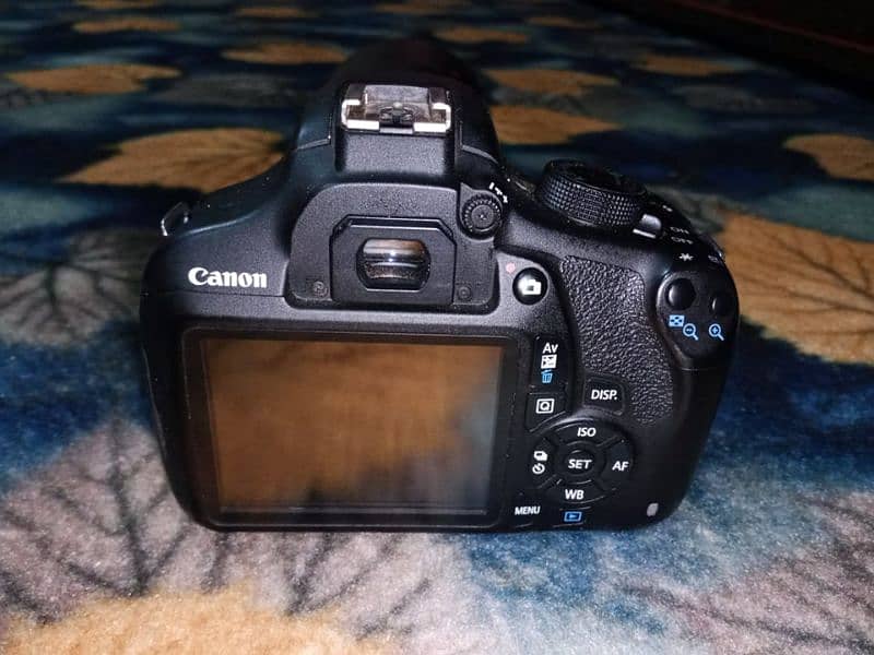 Canon 1200D camera 75-300 lense 4