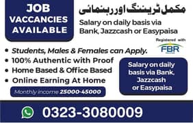Online Jobs available for Males Females and Students 0