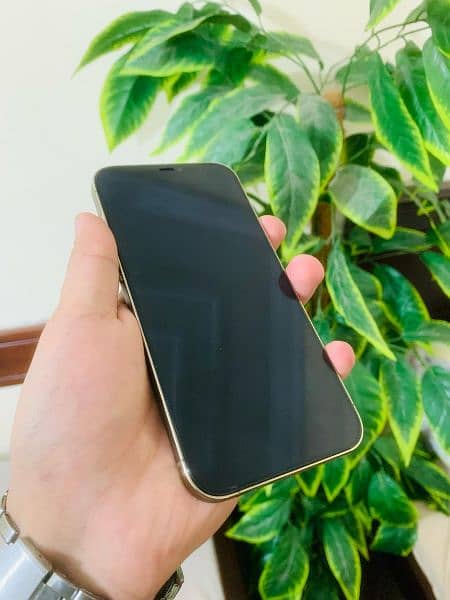 Iphone 12 Promax 128 Gb water proof 10.10 3
