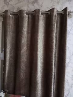 Curtains embosed velvet