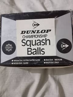 Dunlop champion squash balls