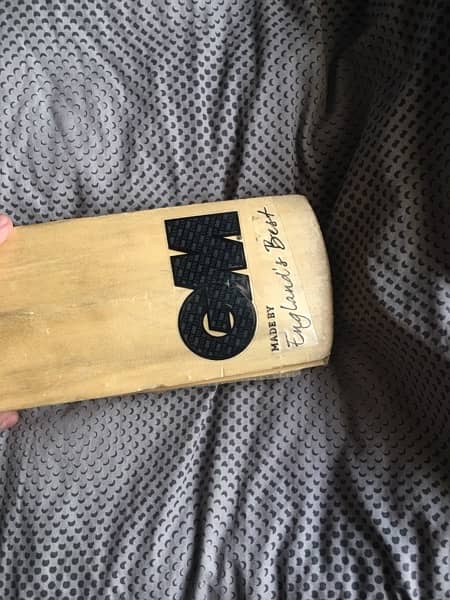 cricket Hard Ball bat for sale 4