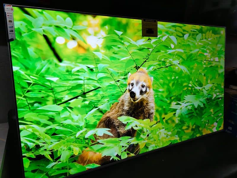 70 INCH Q LED 4K UHD IPS DISPLAY  03228083060 1