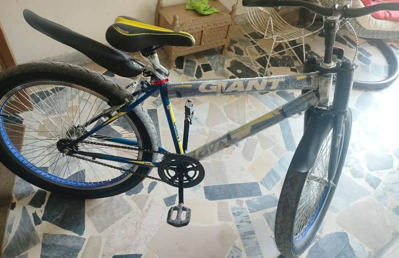 Imported mountain bicycle giant Brand 3