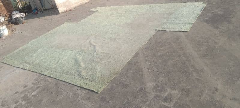 Carpet 2