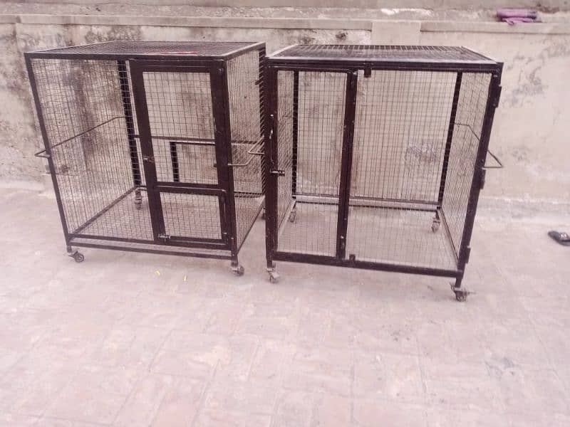 Cage / iron cage / bird cage / pinjra / cage / hen cage / 0