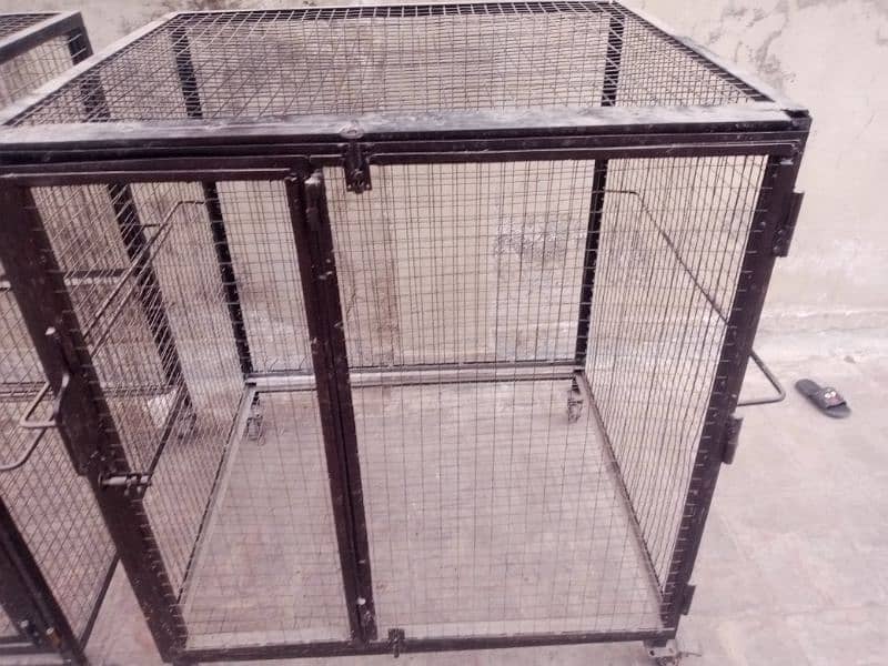 Cage / iron cage / bird cage / pinjra / cage / hen cage / 1