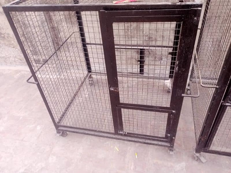 Cage / iron cage / bird cage / pinjra / cage / hen cage / 2