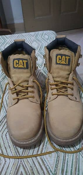 cat shoes 4