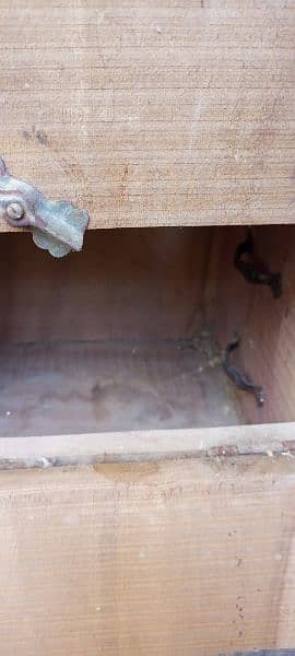 breeding box for RAW parrot OR Grey parrot 3