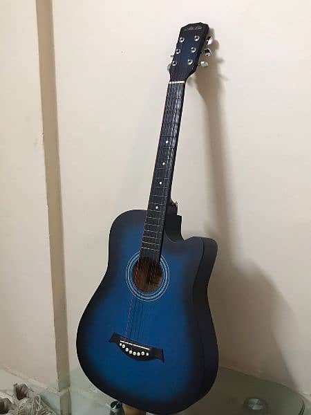 beginners acoustic guitar 4