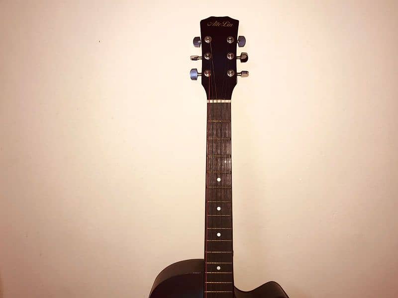 beginners acoustic guitar 5