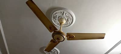 royal ceiling fan