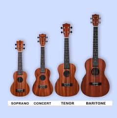 ukulele, Beginner ukulele, guitar, violins, 100% whole sale rates