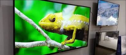 43 INCH SAMSUNG 4K UHD Q LED LATEST MODEL   03228083060 0