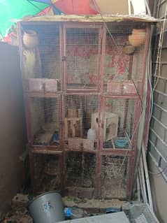 solid cage for sale