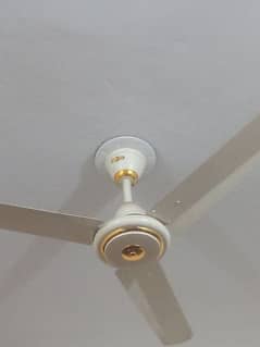 ceiling fan. for. sale