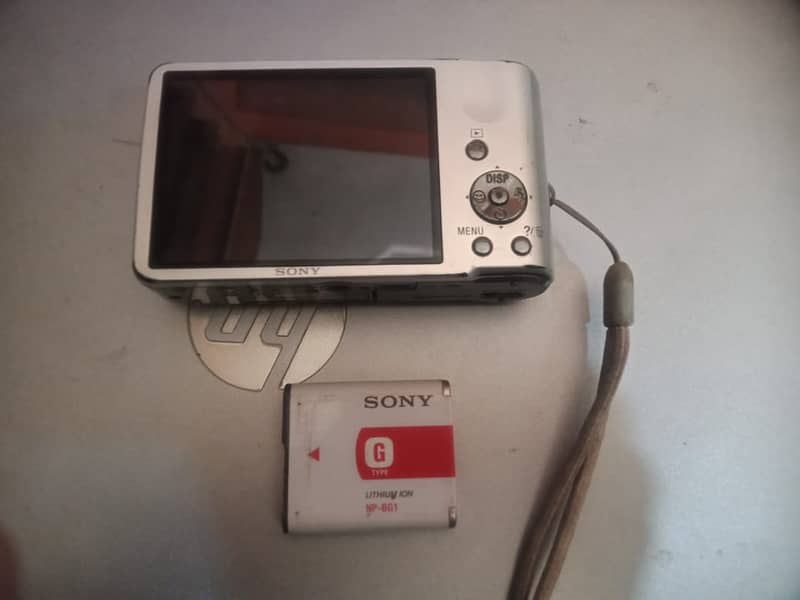 Sony Cyber-Shot DSC-H70 16.1 MP Digital Still Camera with 10x Wide 3