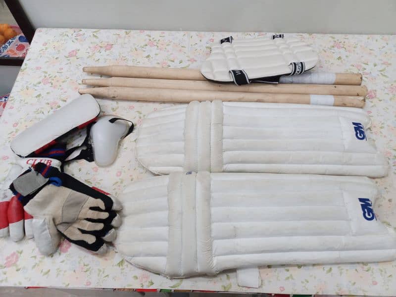 Cricket kit gm 2