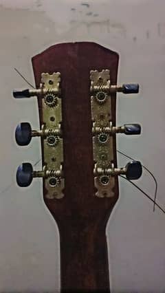 the olive tree guitar