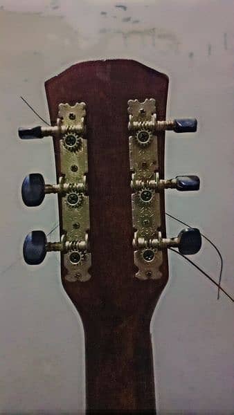 the olive tree guitar 1