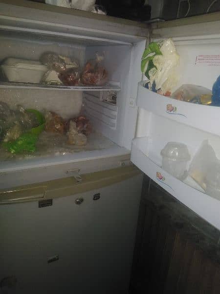 Pel Refrigerator for sal,,295 Ltrs 2