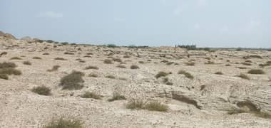 1 Acre Agriculture Land Is Available For Sale In Mouza Derbela Shumali Gwadar