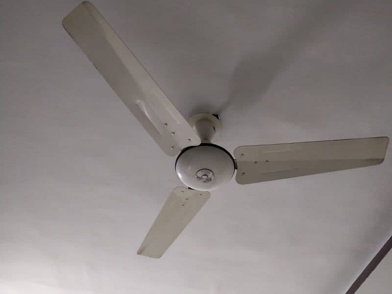 Pak Ceiling Fan 0