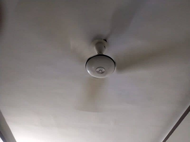 Pak Ceiling Fan 1