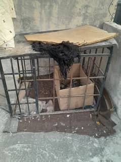 dog cage in very good condition