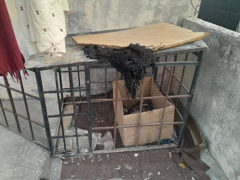 dog cage in very good condition 2