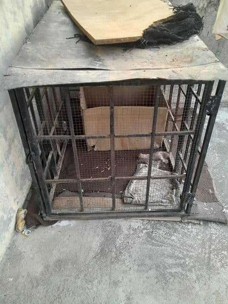 dog cage in very good condition 3