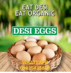 fresh fertile dasi eggs