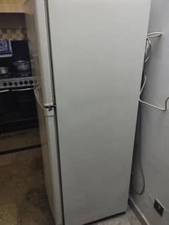 EXTRA LARGE size fridge Dawlance 9199-2wb ( latest 91999 Rs 141,000 ) 0