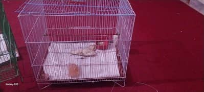 urgently sale cage
