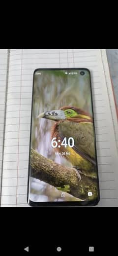 Arrows F51 AMOLED curved screen