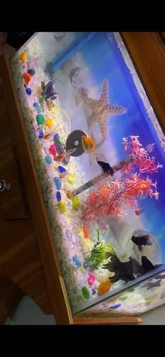 aquarium for sale 3ft