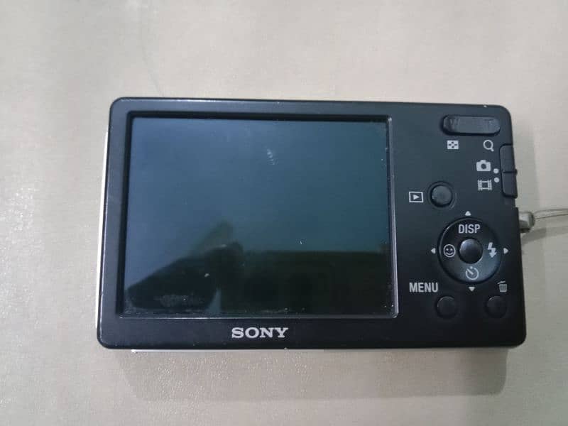 Sony Digital Camera 2