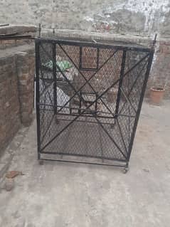 Urgent for sale double big cage heavy weight