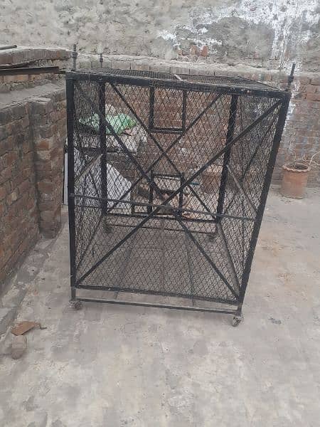 Urgent for sale double big cage heavy weight 0