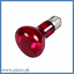 Infrared Heating Bulb (220VAC,100W) for Brooder