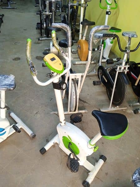 Exercise ( Magnetic Apple bike ) cycle 2