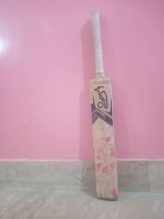 Cricket hardball bat