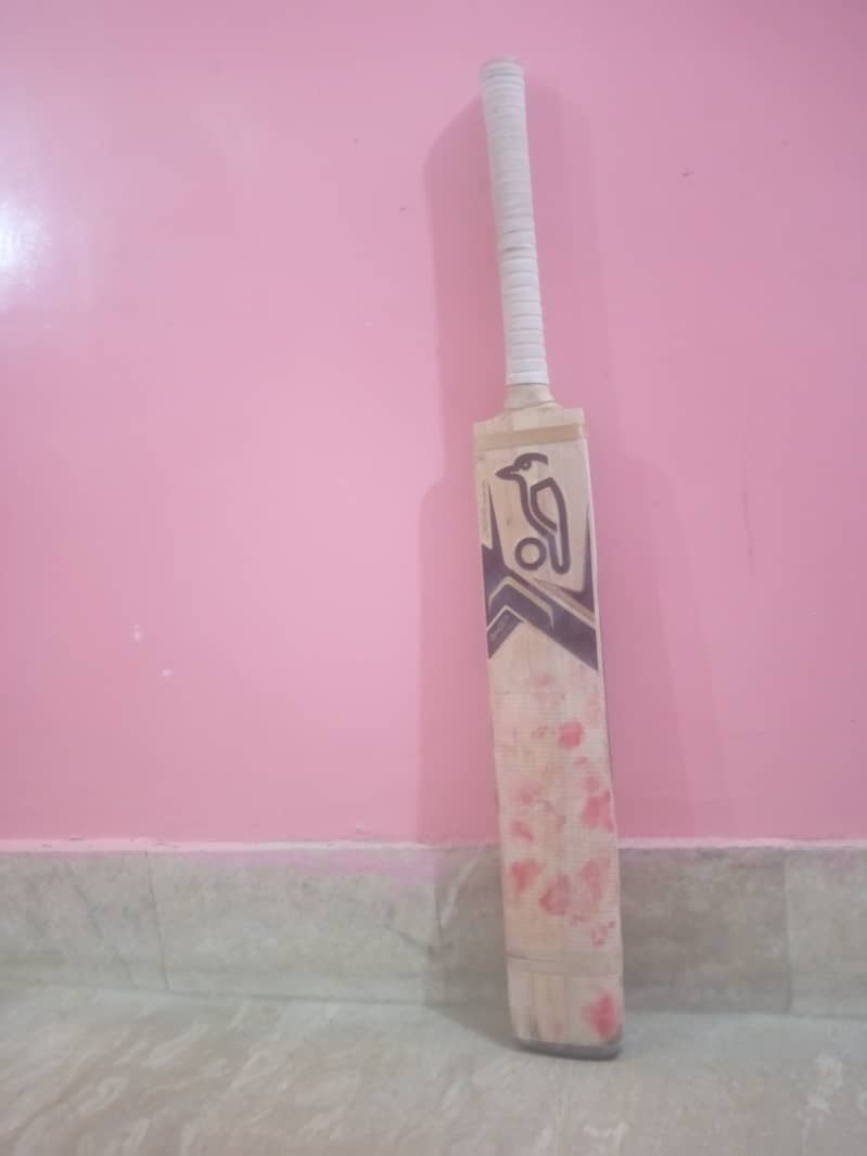 Cricket hardball bat 0
