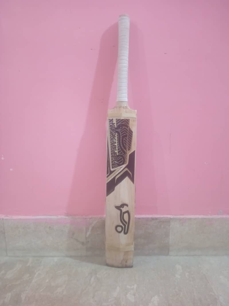 Cricket hardball bat 1
