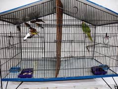 CAGE for sale (Urgent)