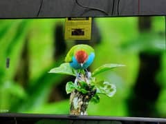 48 INCH ANDROID LED 4K UHD LATEST MODEL 3 YEAR WARRANTY 03221257237